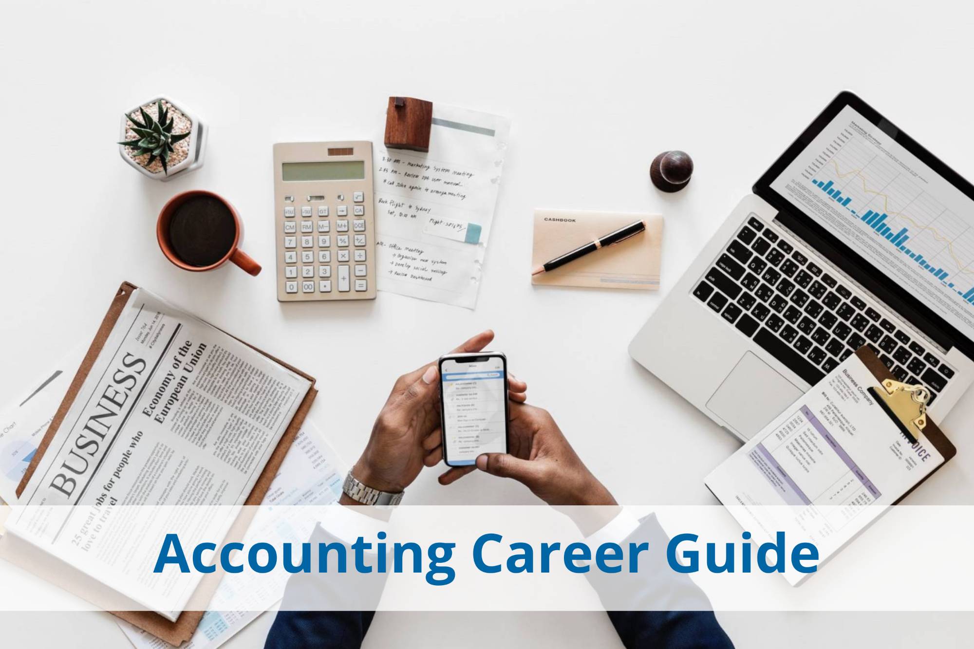 Accounting career guide